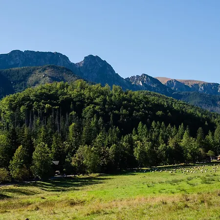 Looktatry Strazyska 21a Lokal 5 *